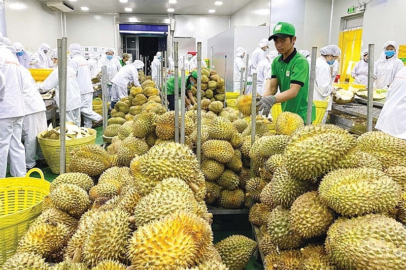 Two-month durian exports reach same level as entirety of 2022
